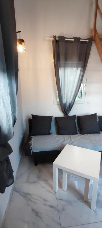 Appartement Au Coeur Des Rizieres サラン・ド・ジロー エクステリア 写真
